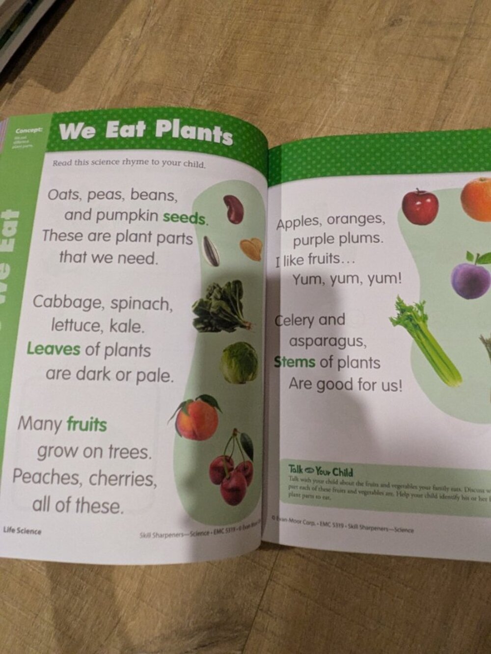 Pre-K Science Learning Activity Books - Picture 8 of 10